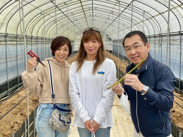 香川県のオリジナル品種「さぬきのめざめ」〜どこを食べてもおいしいを届ける秘密〜