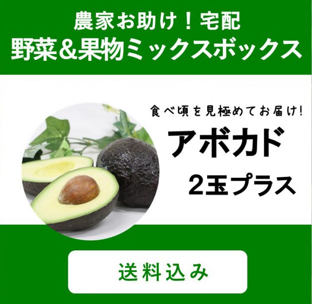 【新発売】アボカドセットが野菜ボックスに登場！