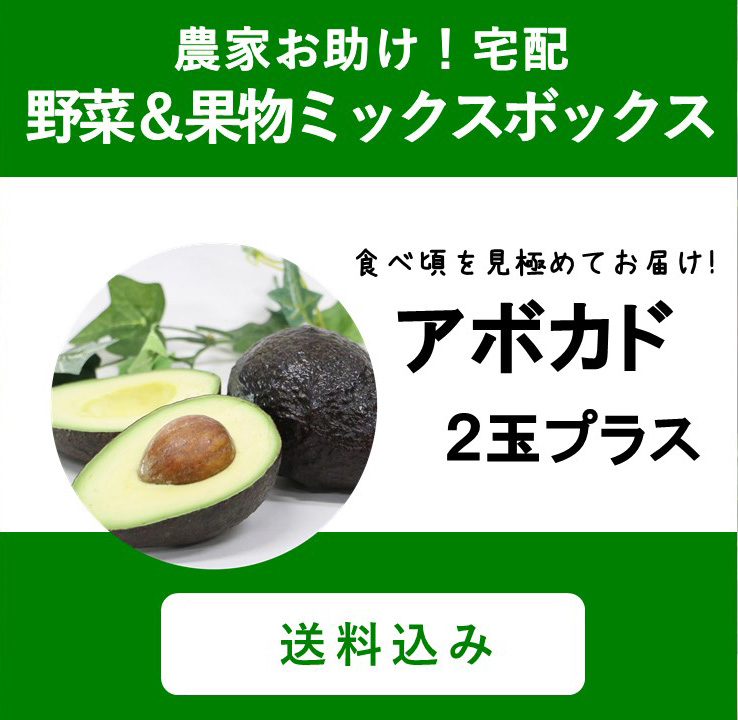 新発売】アボカドセットが野菜ボックスに登場！ | 株式会社まつの